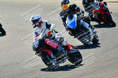 media/Nov-09-2024-2WTD (Sat) [[694fc593b7]]/Group B/Session 2 (Turns 4 5 and 6)/